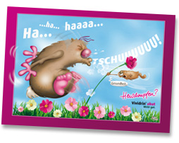 Bausch & Lomb, Vividrin