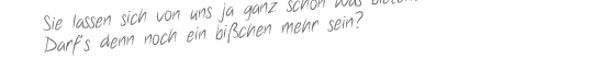 Für Websites geben wir alles: persönliche Beratung, schickes Design, valide Programmierung und jahrelange Erfahrung.